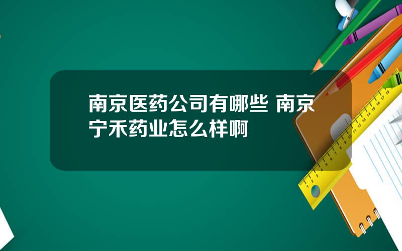 南京医药公司有哪些 南京宁禾药业怎么样啊